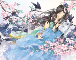 稀缺猎奇资源视频在线看